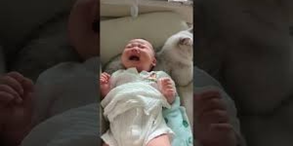 Adorable Kitten Soothes Crying Baby!